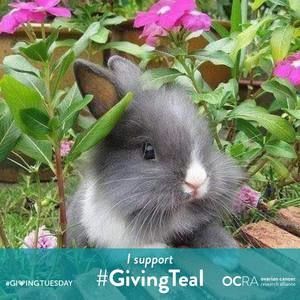 Meet your Posher, Gail